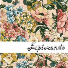 esplorando